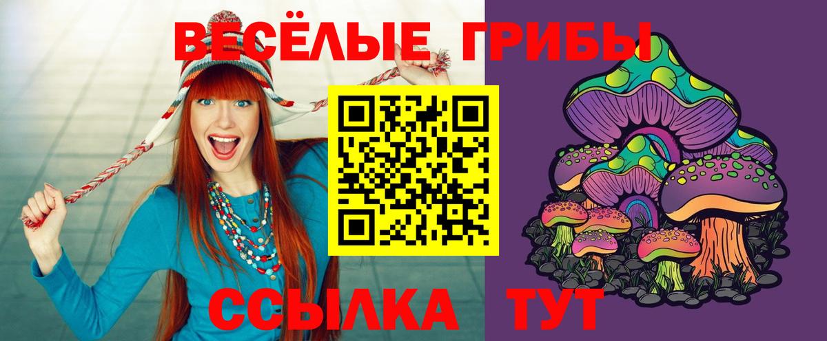 Галлюциногенные грибы Psilocybe Химки